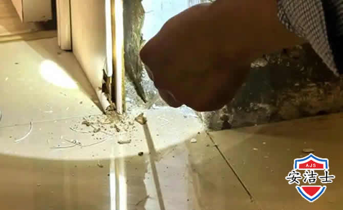 磐安房屋建筑防治白蚁