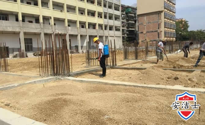 磐安学校机关防治白蚁