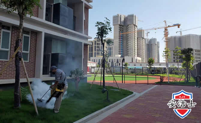 磐安工厂工地除白蚁