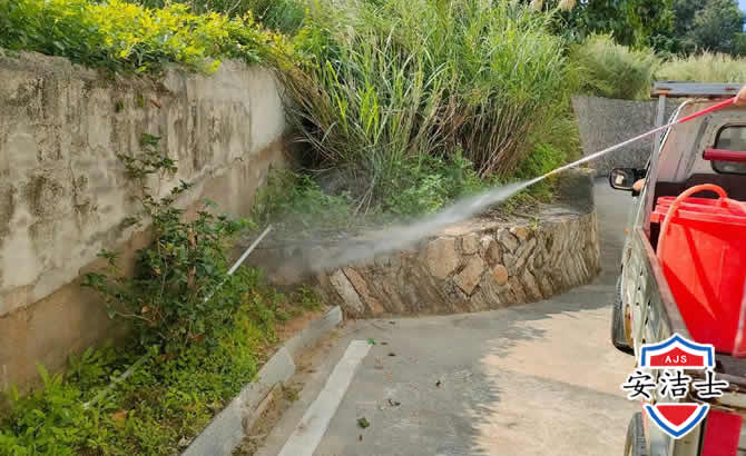 磐安道路堤坝白蚁防治