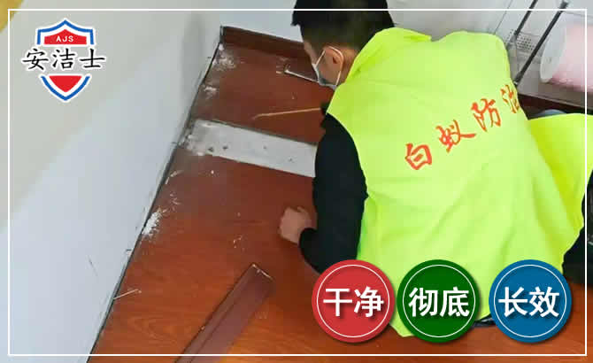 磐安除四害现场