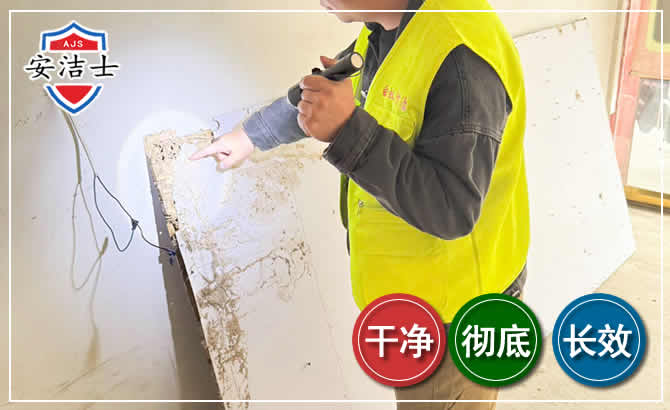 磐安除白蚁现场