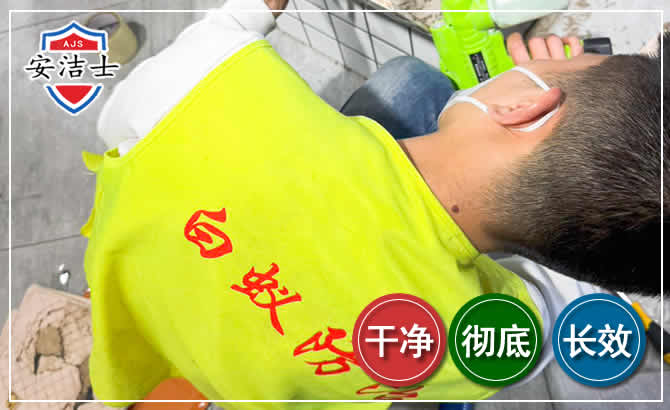 磐安白蚁根治现场